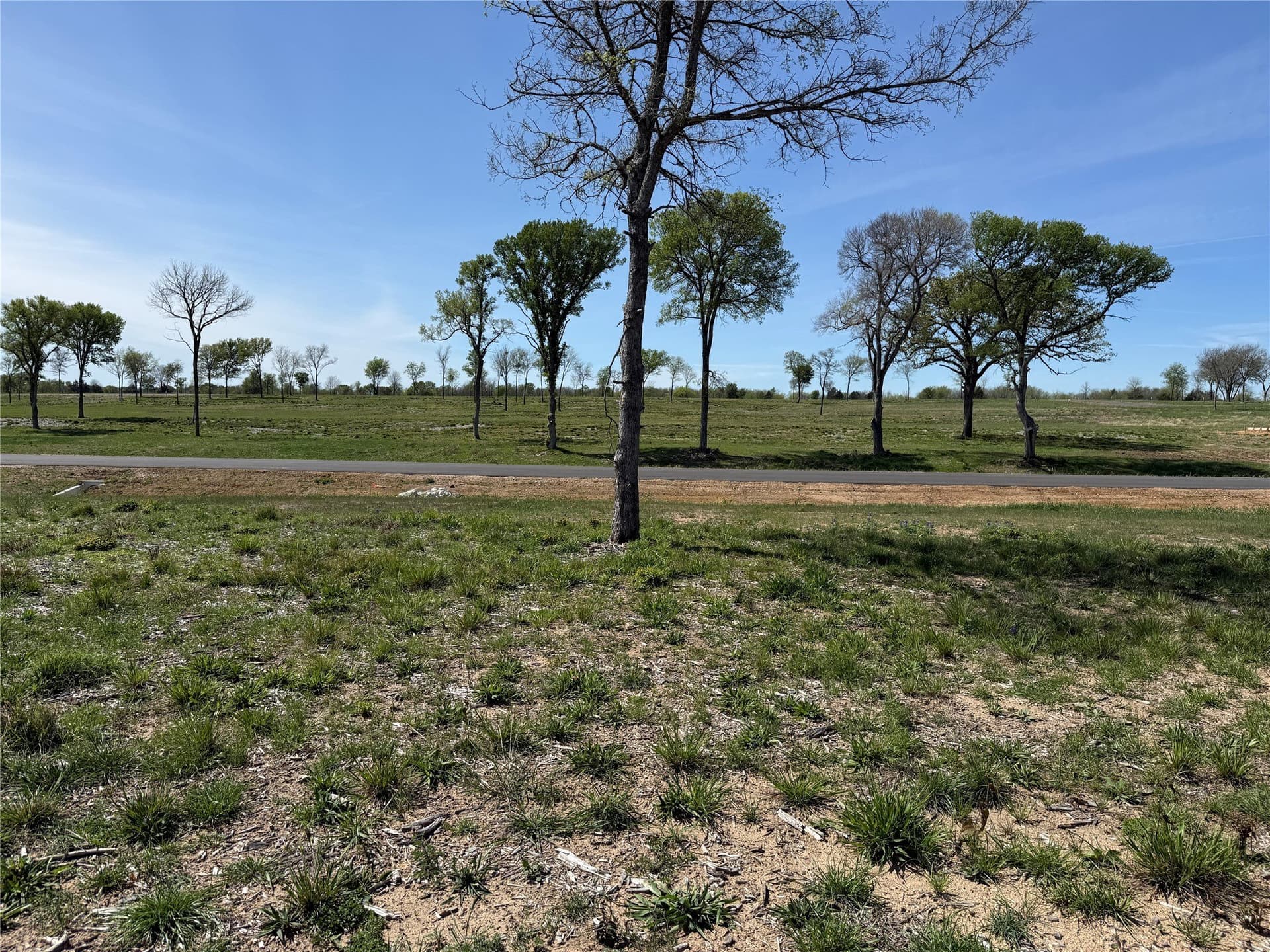 1.28 acres in Navarro County - photo 13