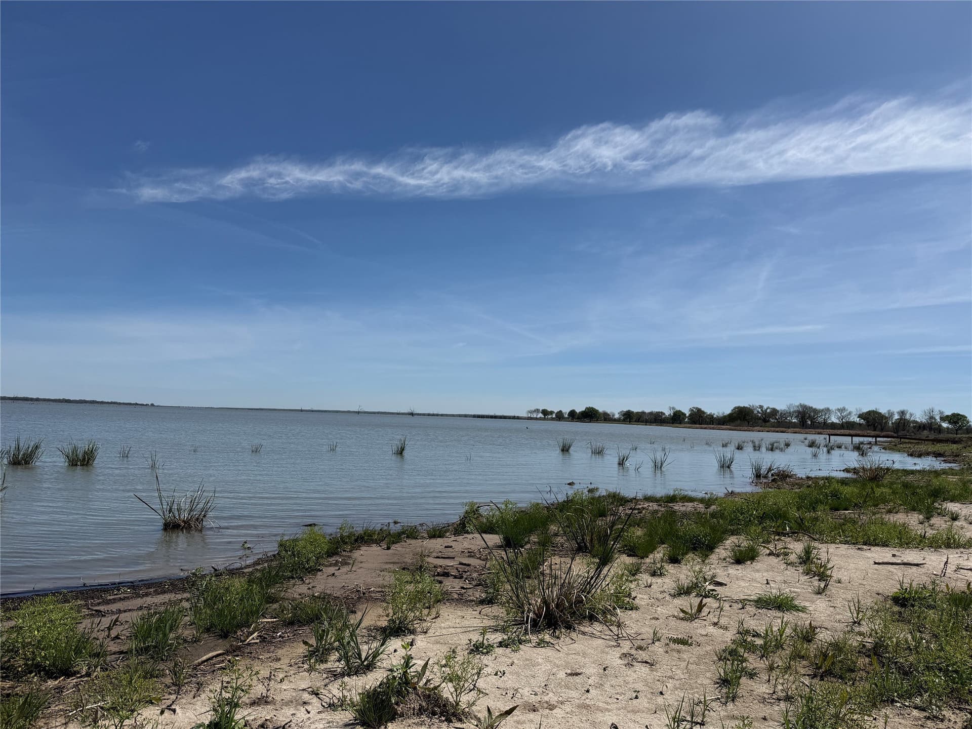 1.28 acres in Navarro County - photo 5