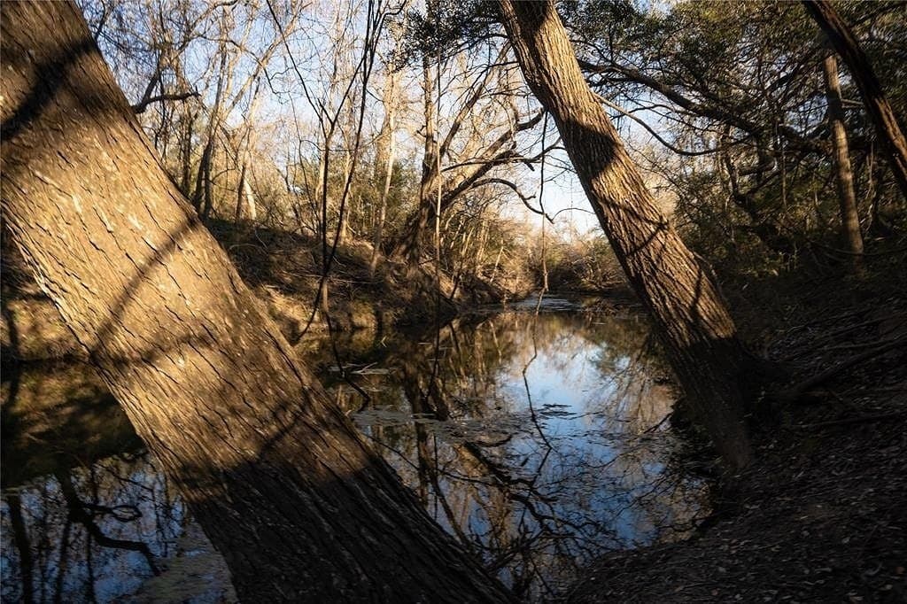 25.56 acres in Lavaca County gallery image 2