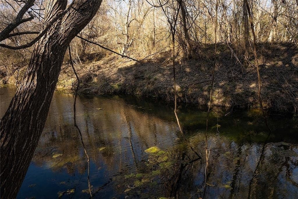 25.56 acres in Lavaca County gallery image 4
