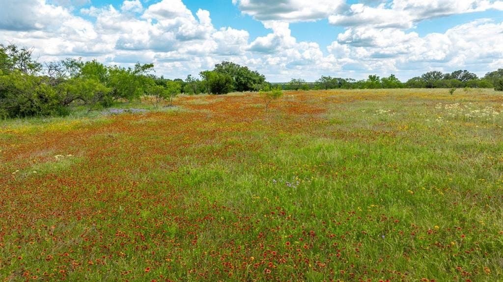 40 acres in Erath County featured view