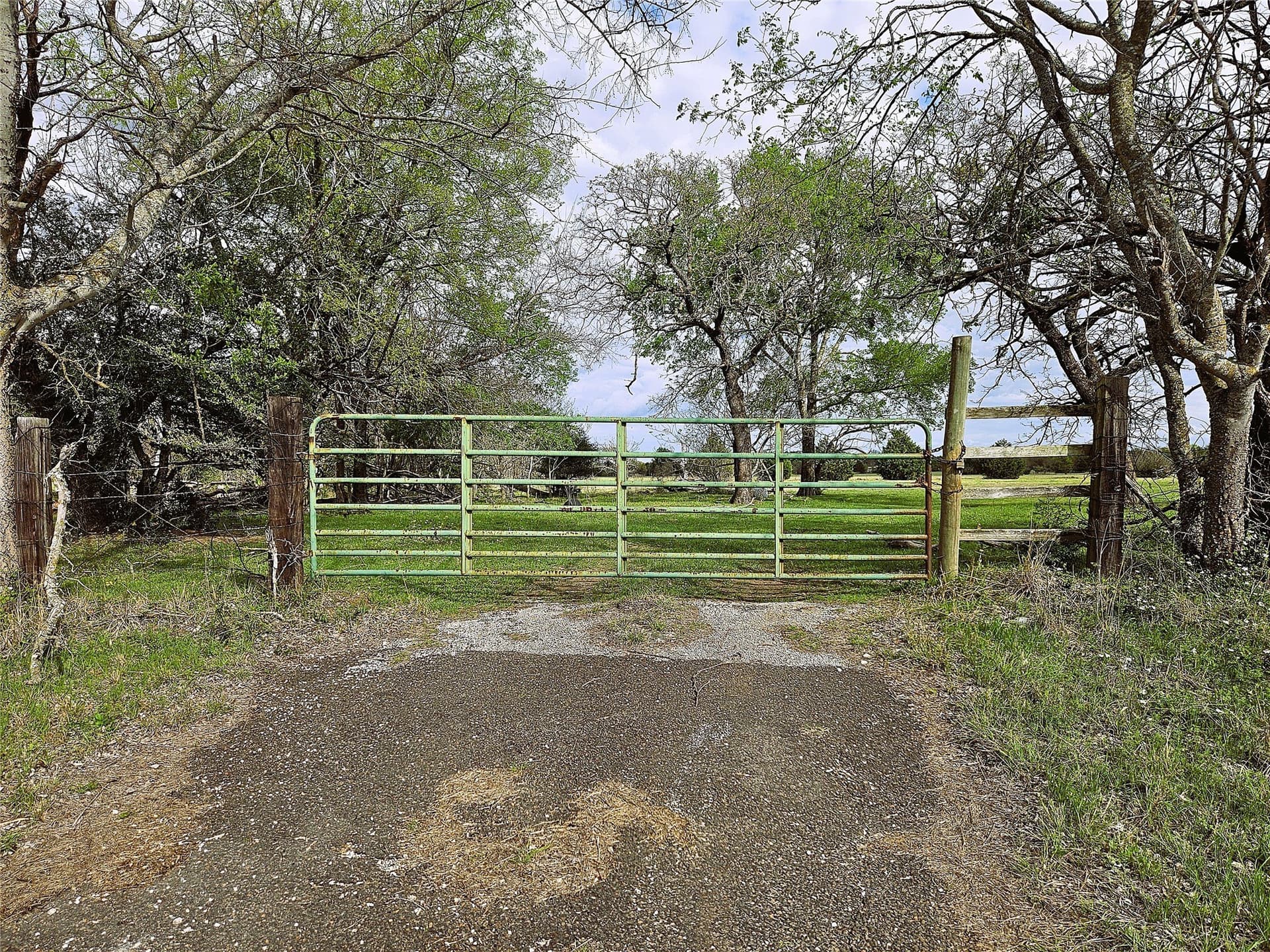 55.76 acres in Limestone County gallery image 2