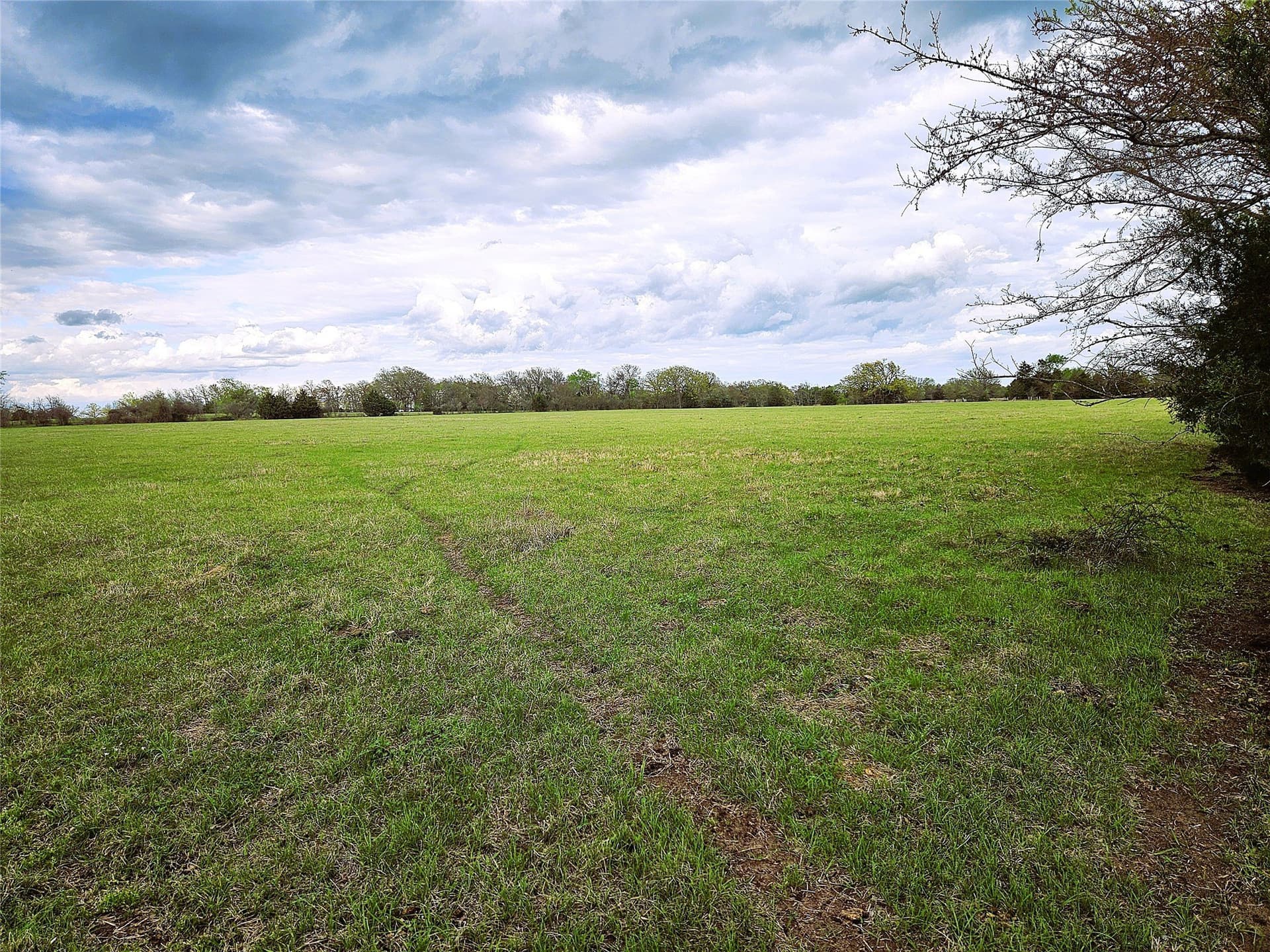 55.76 acres in Limestone County featured view