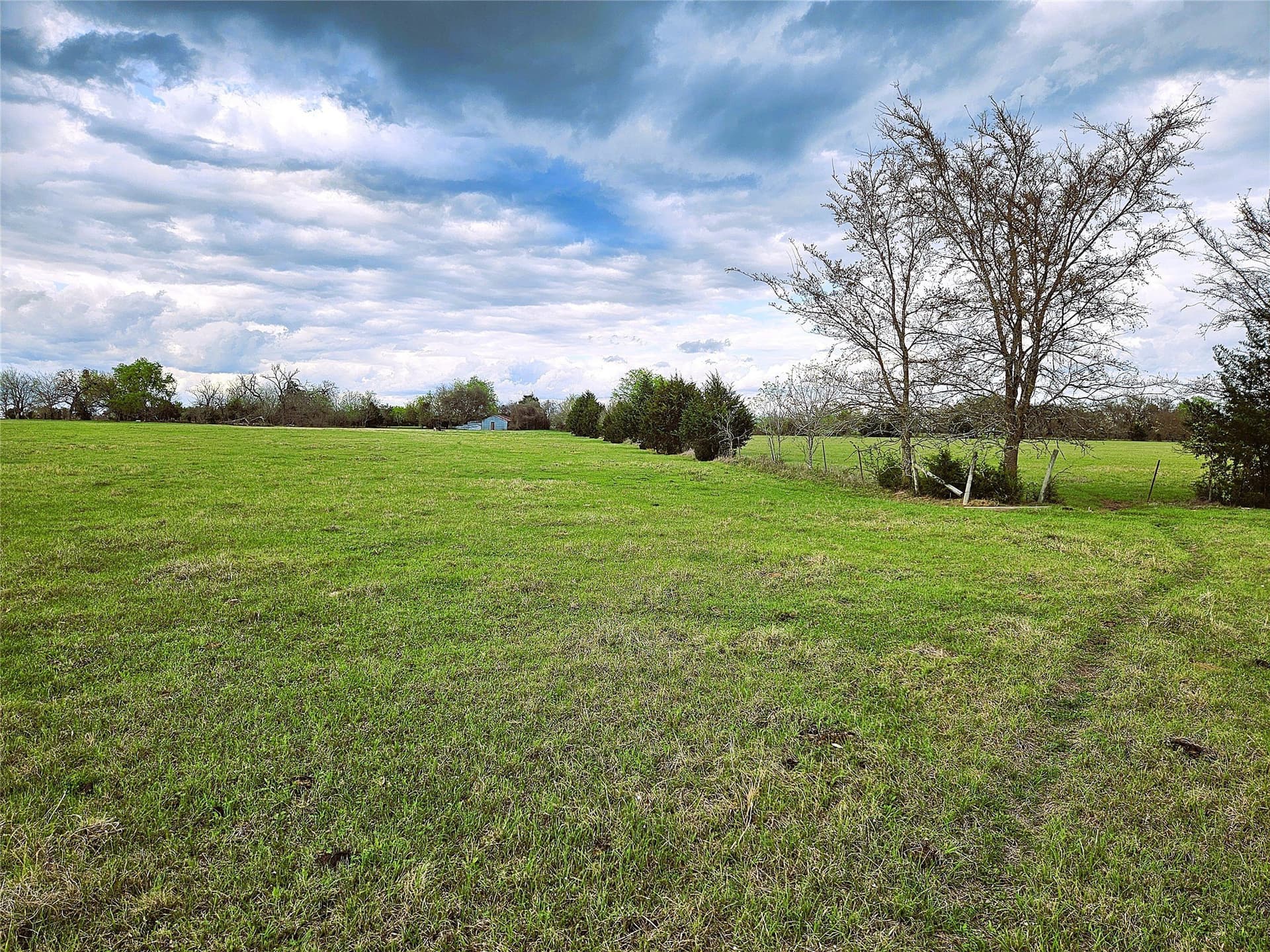55.76 acres in Limestone County gallery image 4