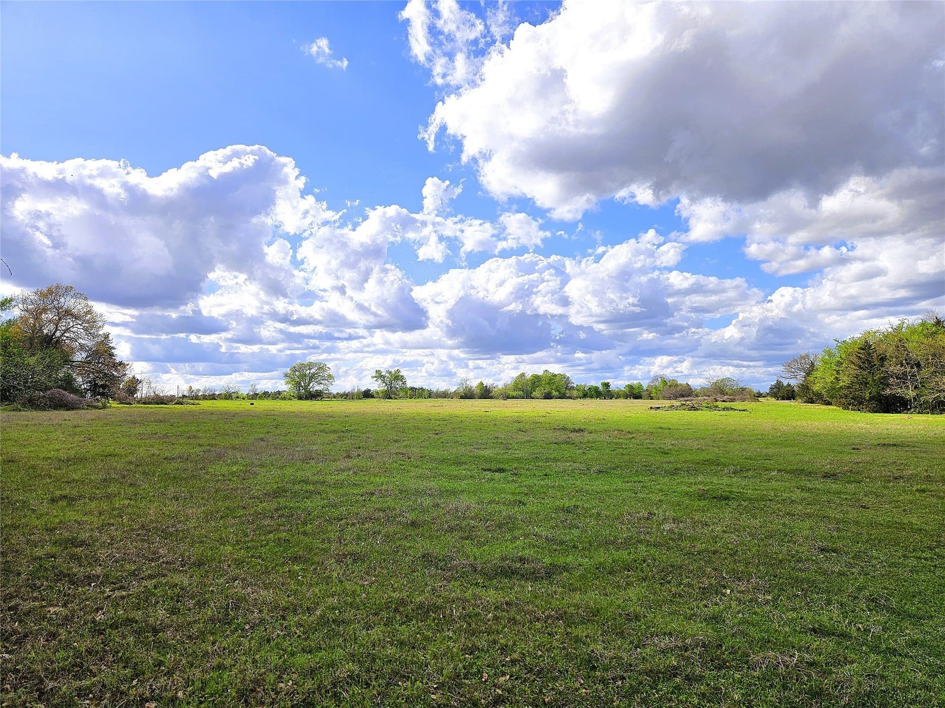 55.76 acres in Limestone County gallery image 3
