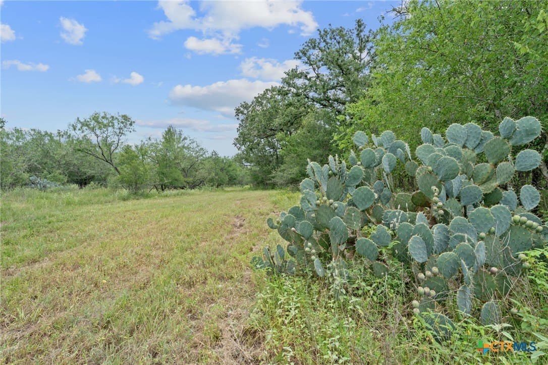 21.13 acres in Guadalupe County - photo 27