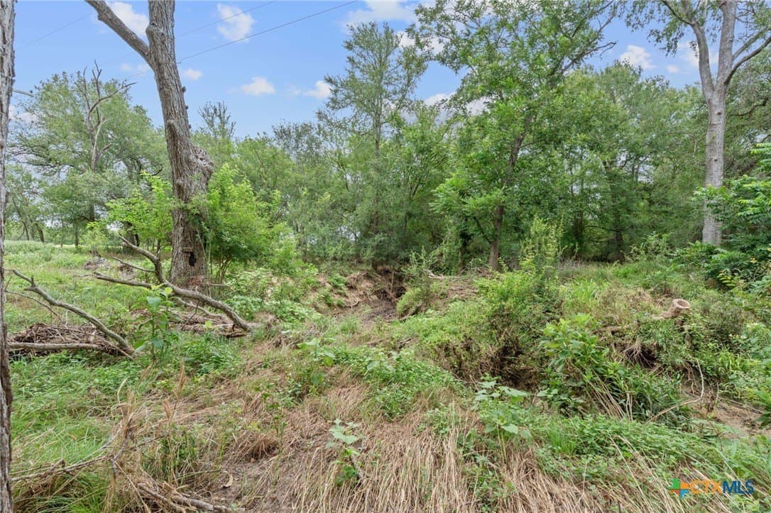 21.13 acres in Guadalupe County - photo 8
