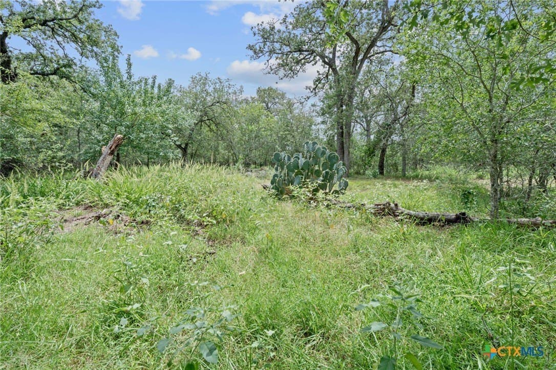 21.13 acres in Guadalupe County - photo 10