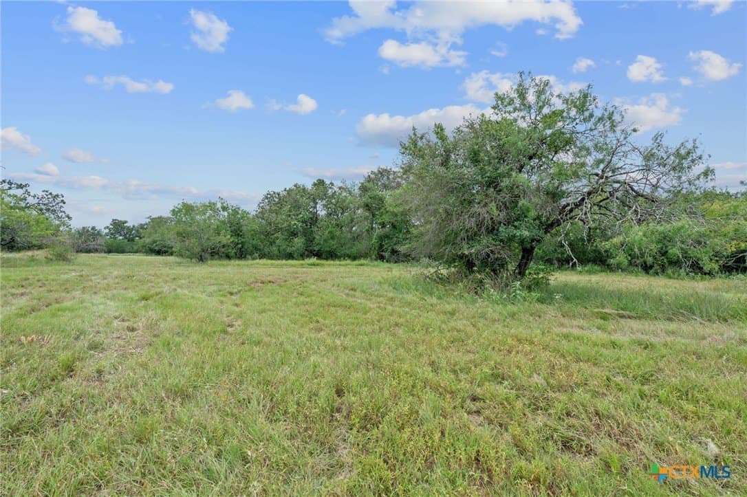 21.13 acres in Guadalupe County - photo 17