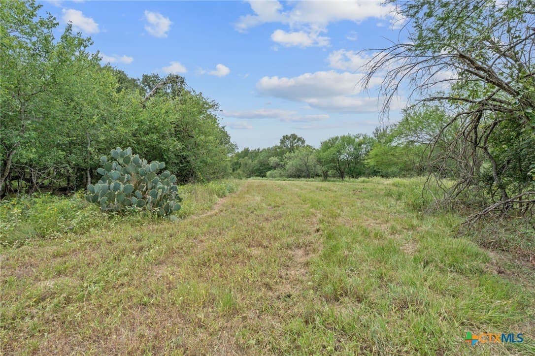 21.13 acres in Guadalupe County - photo 28