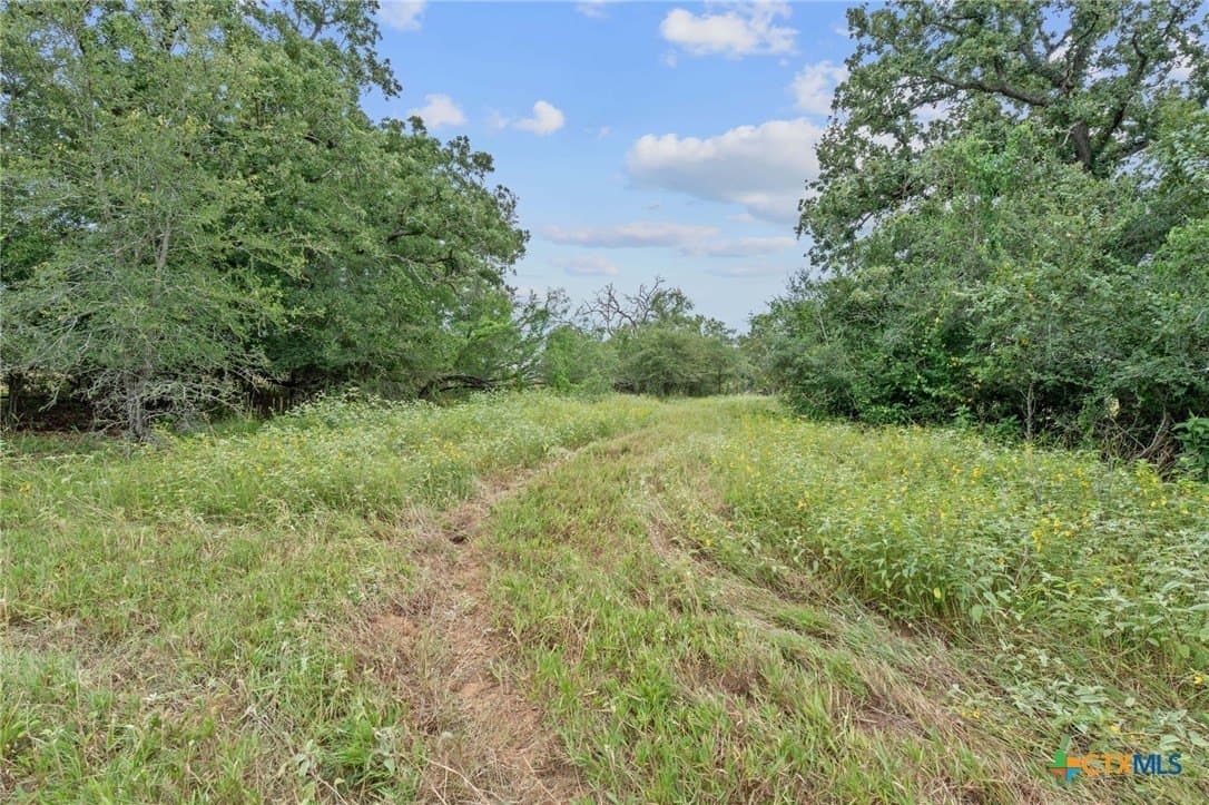 21.13 acres in Guadalupe County - photo 23
