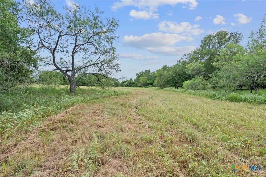 21.13 acres in Guadalupe County - photo 26