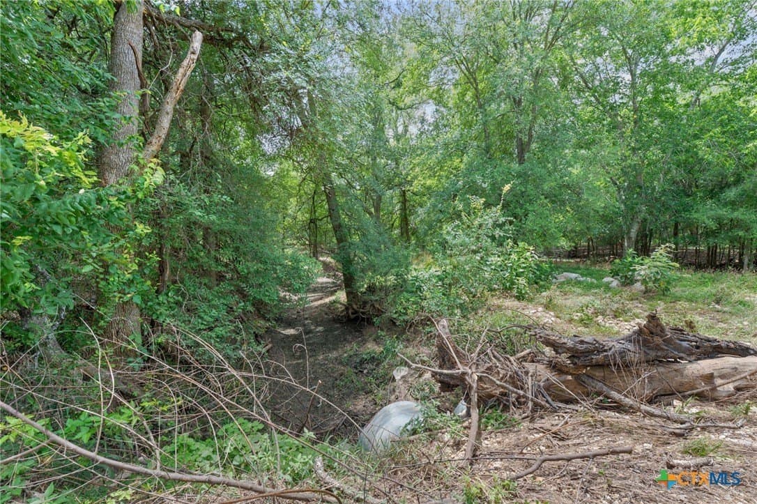 21.13 acres in Guadalupe County - photo 31