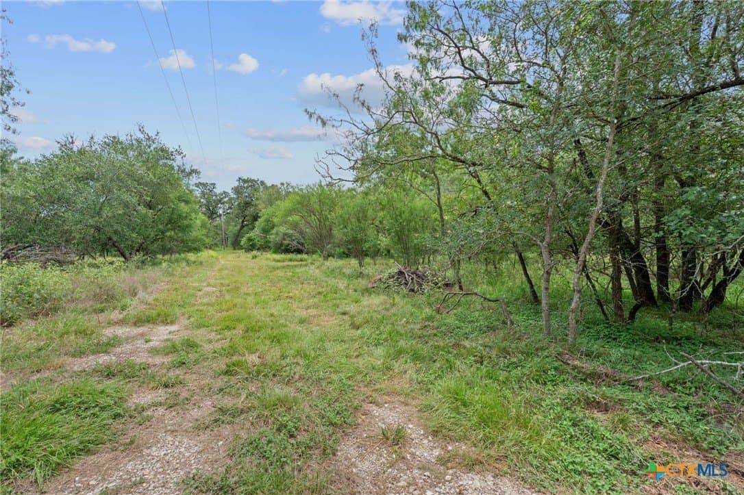 21.13 acres in Guadalupe County - photo 30