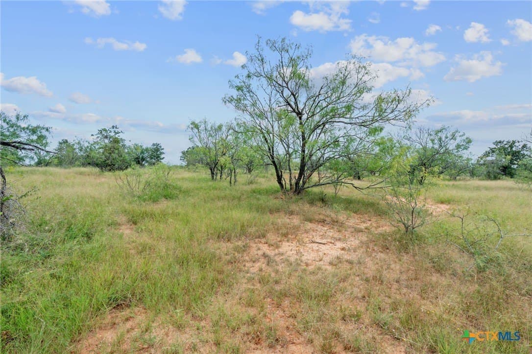 21.13 acres in Guadalupe County - photo 21
