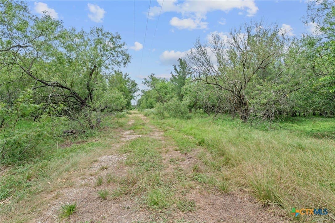 21.13 acres in Guadalupe County - photo 9