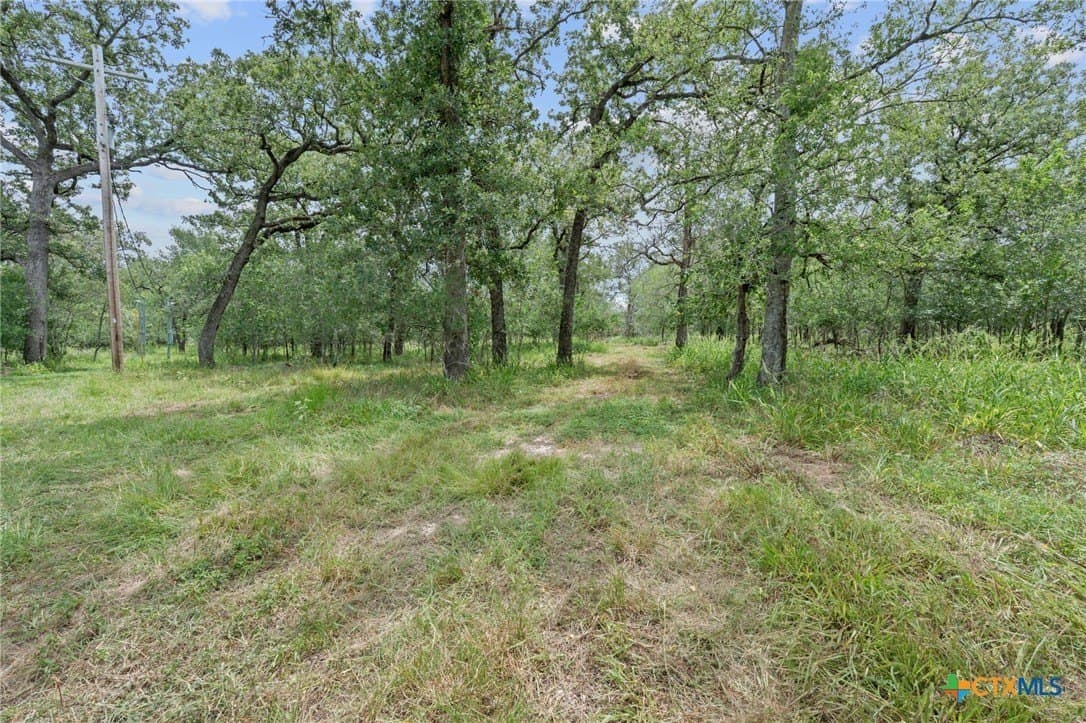 21.13 acres in Guadalupe County - photo 14
