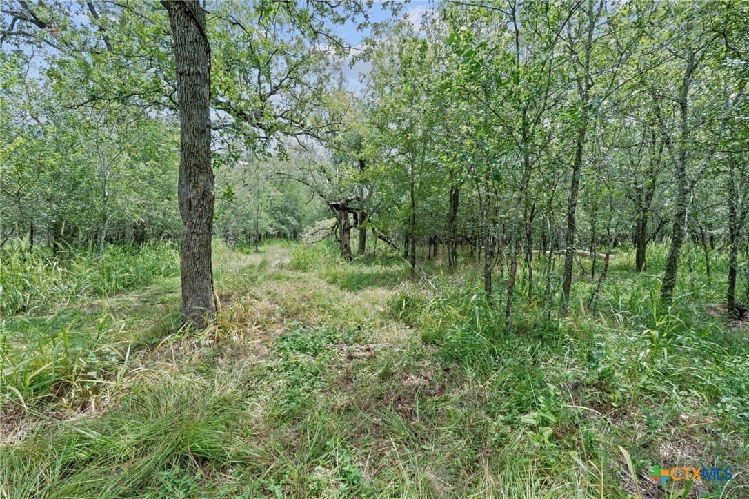 21.13 acres in Guadalupe County - photo 11