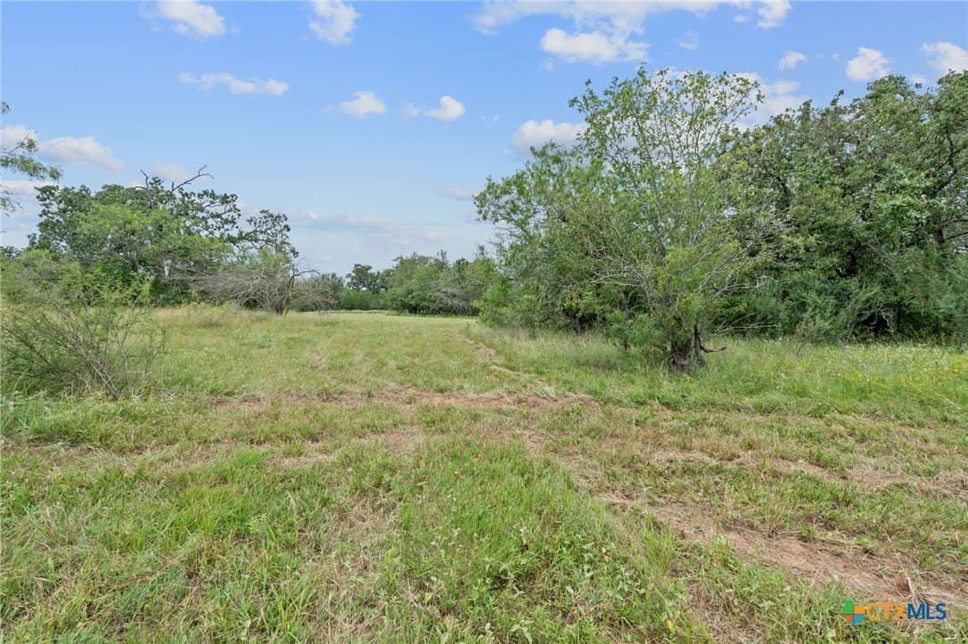 21.13 acres in Guadalupe County - photo 16