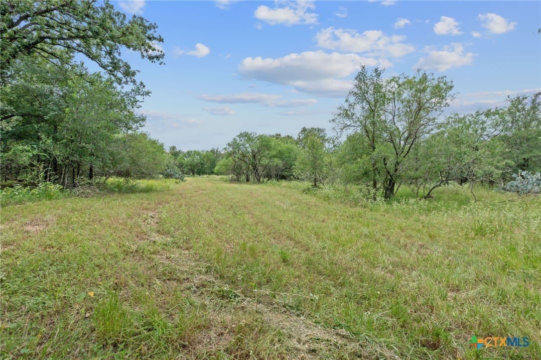 21.13 acres in Guadalupe County - photo 29
