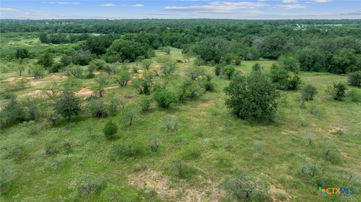 21.13 acres in Guadalupe County - photo 44
