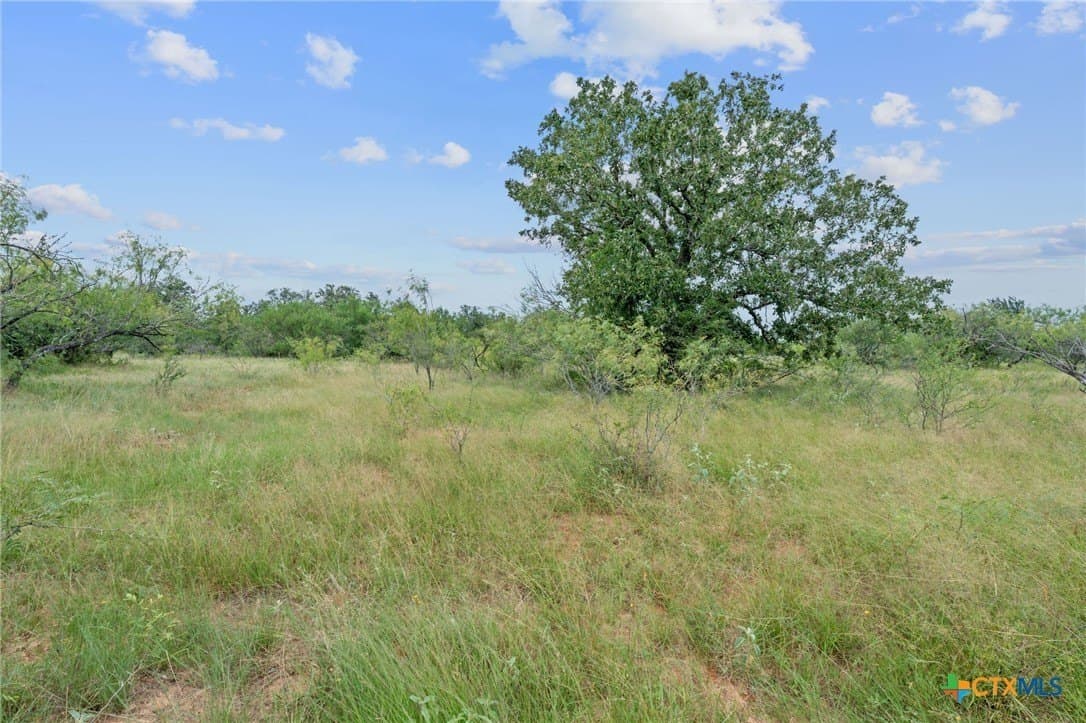 21.13 acres in Guadalupe County - photo 19