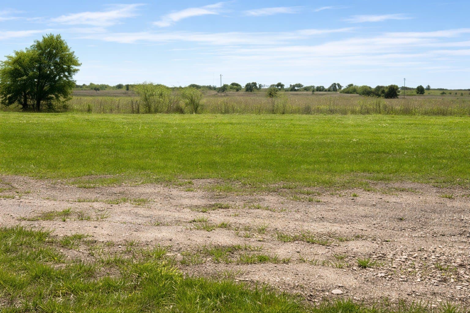 1.77 acres in Fannin County gallery image 2