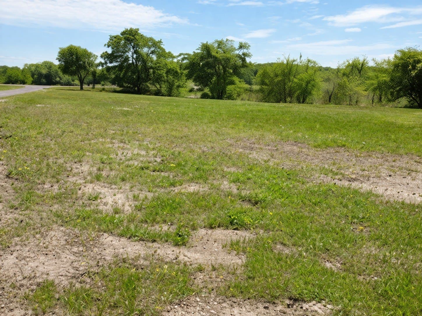 1.77 acres in Fannin County gallery image 3