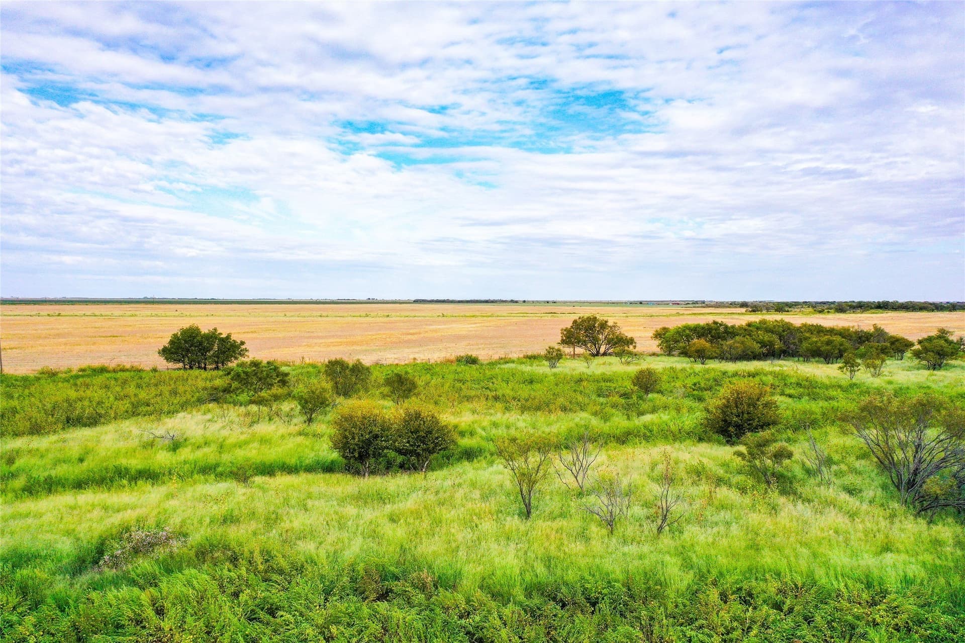 485 acres in Haskell County - photo 14