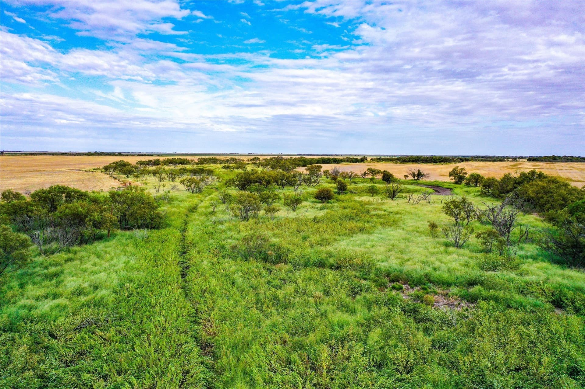 485 acres in Haskell County - photo 7