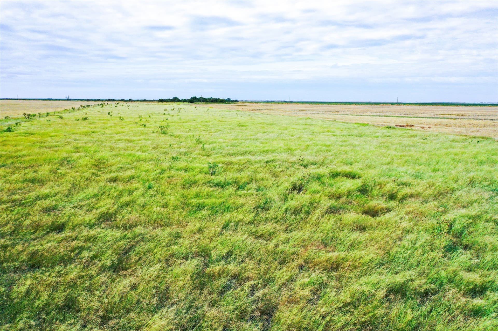 485 acres in Haskell County - photo 16