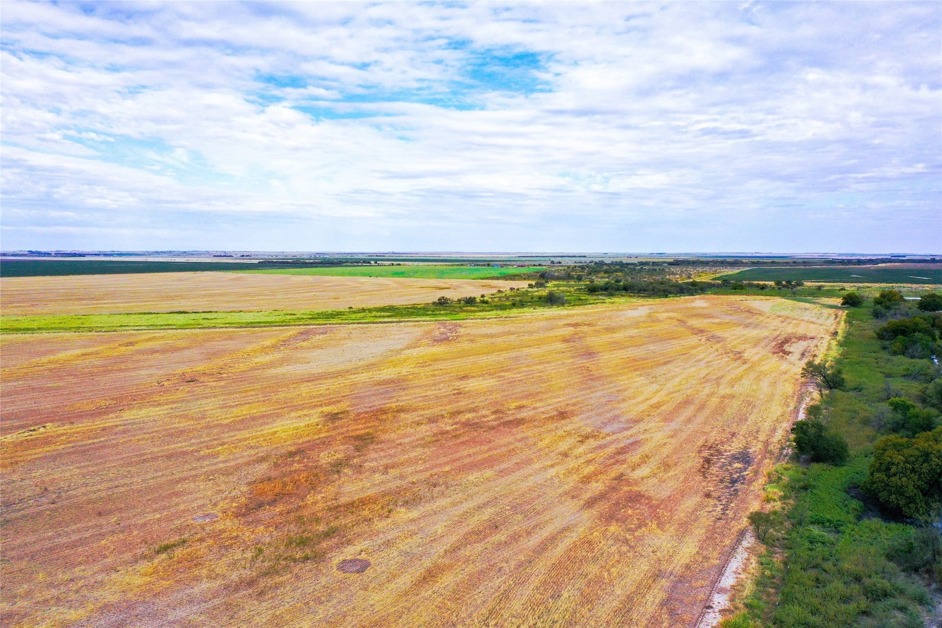 485 acres in Haskell County - photo 15