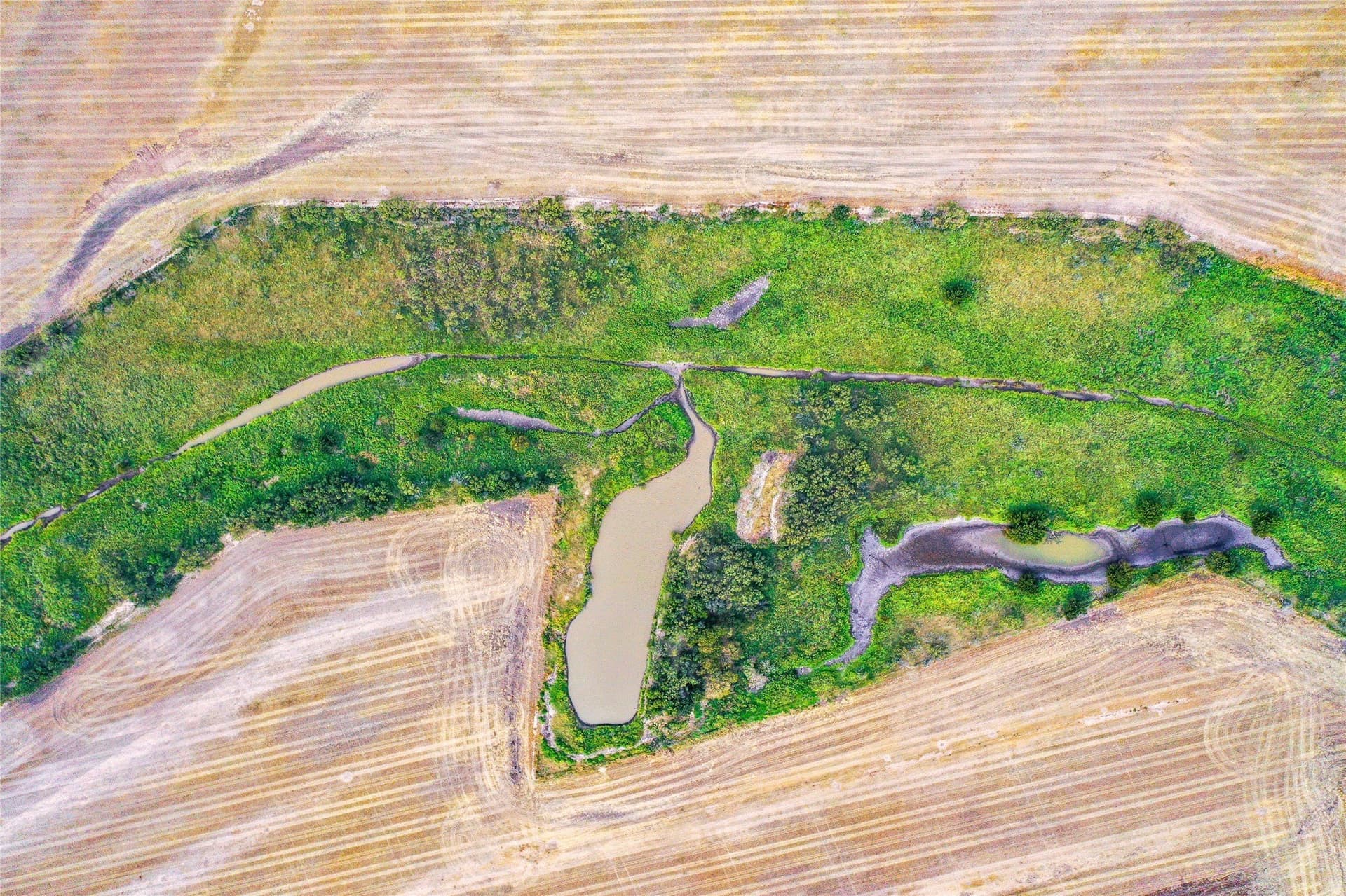 485 acres in Haskell County - photo 6