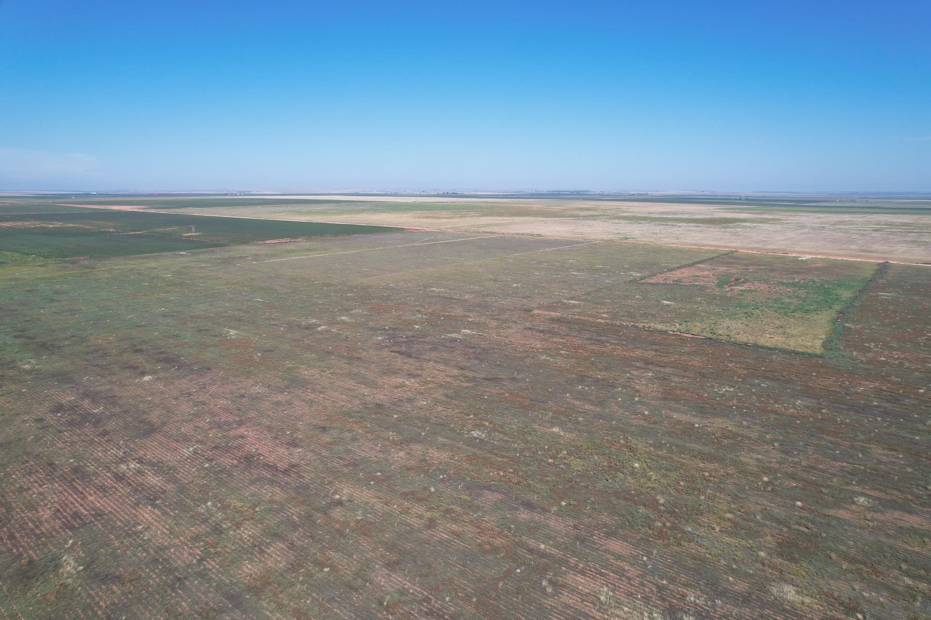 10 acres in Hockley County gallery image 3