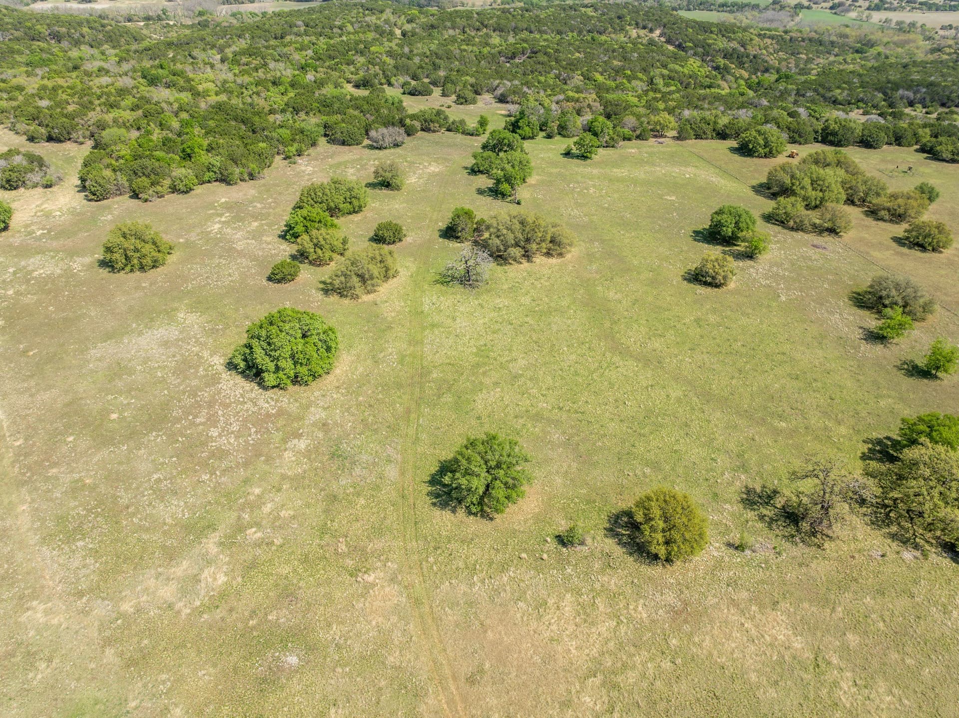 79.48 acres in Coryell County - photo 21