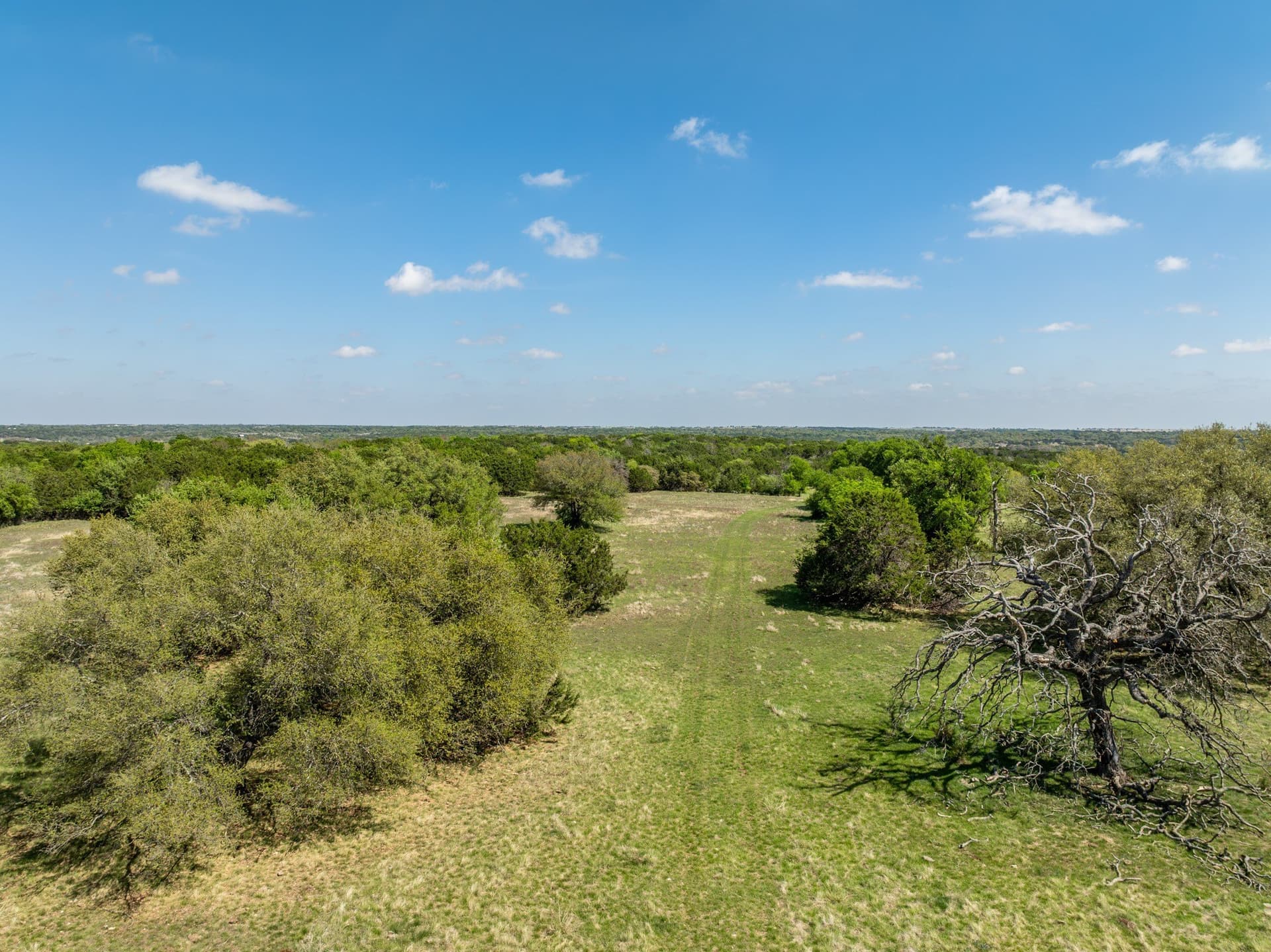 79.48 acres in Coryell County - photo 14