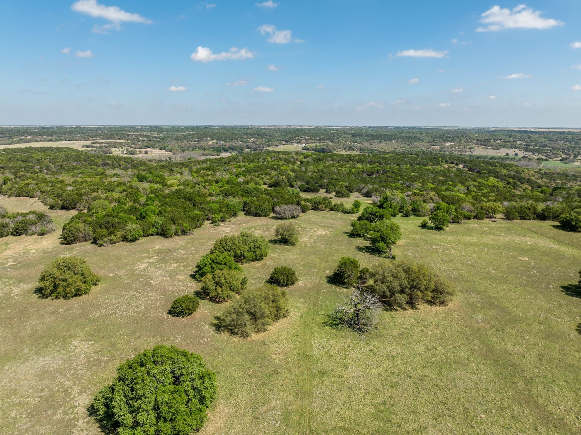 79.48 acres in Coryell County - photo 13
