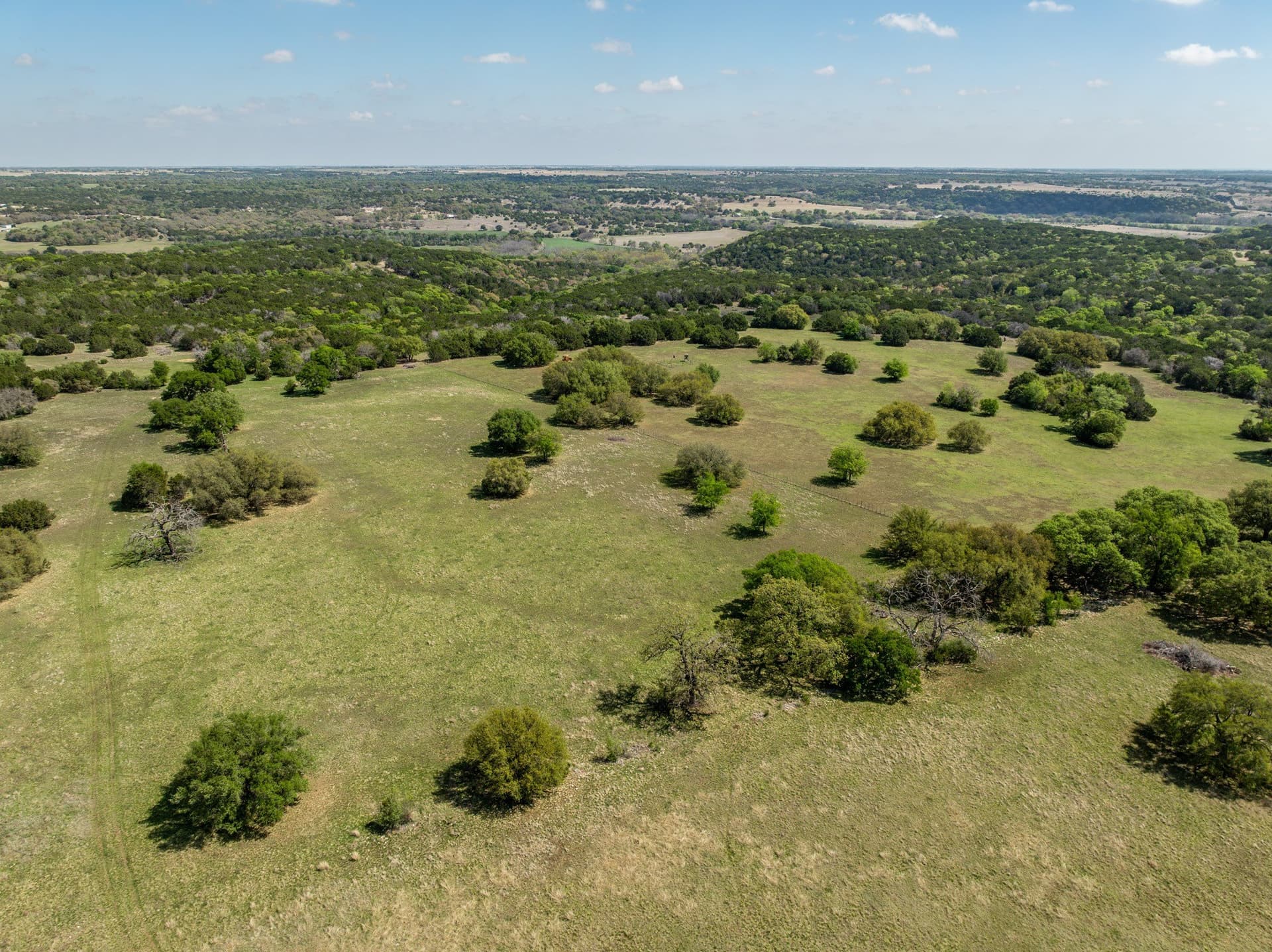 79.48 acres in Coryell County - photo 12