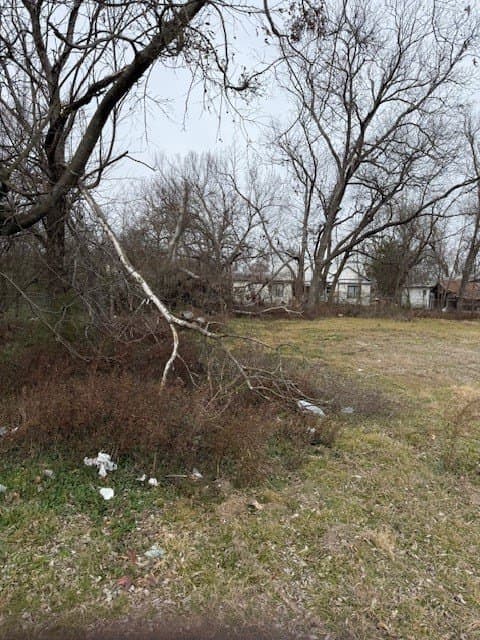0.2 acres in Fannin County gallery image 2