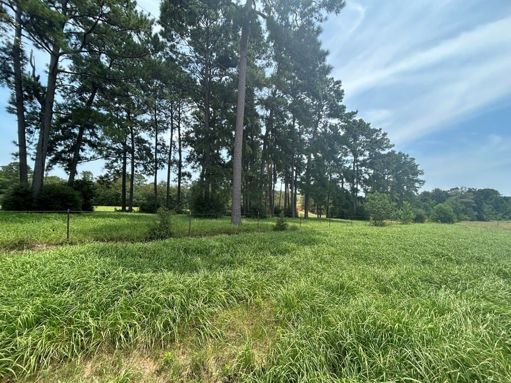 3.08 acres in Texas County - photo 11