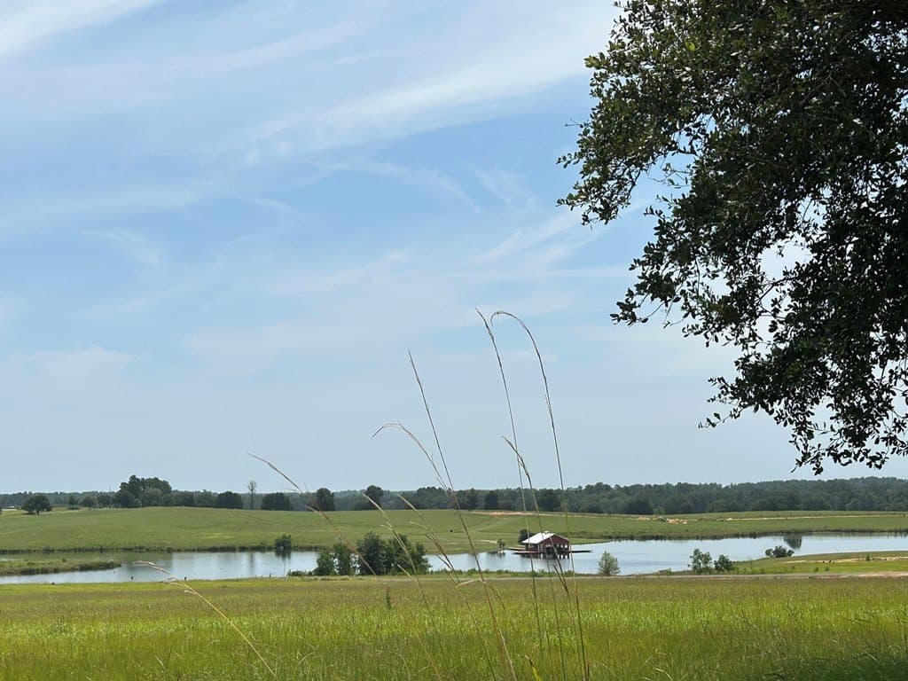 3.08 acres in Texas County - photo 9