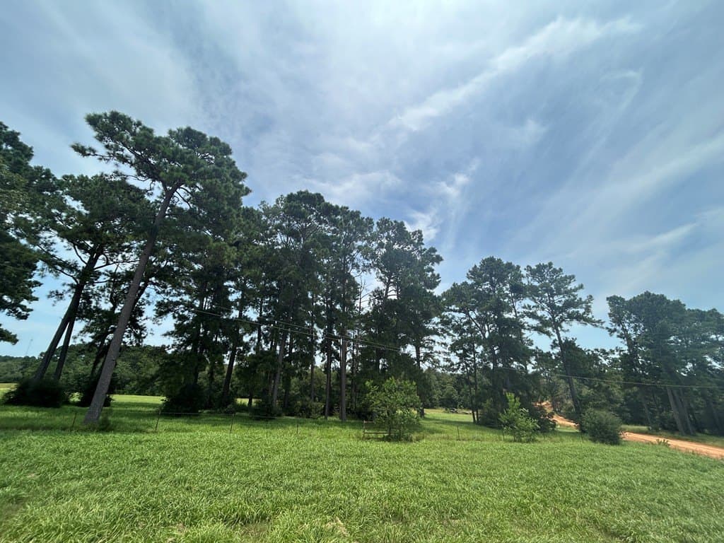 3.08 acres in Texas County featured view