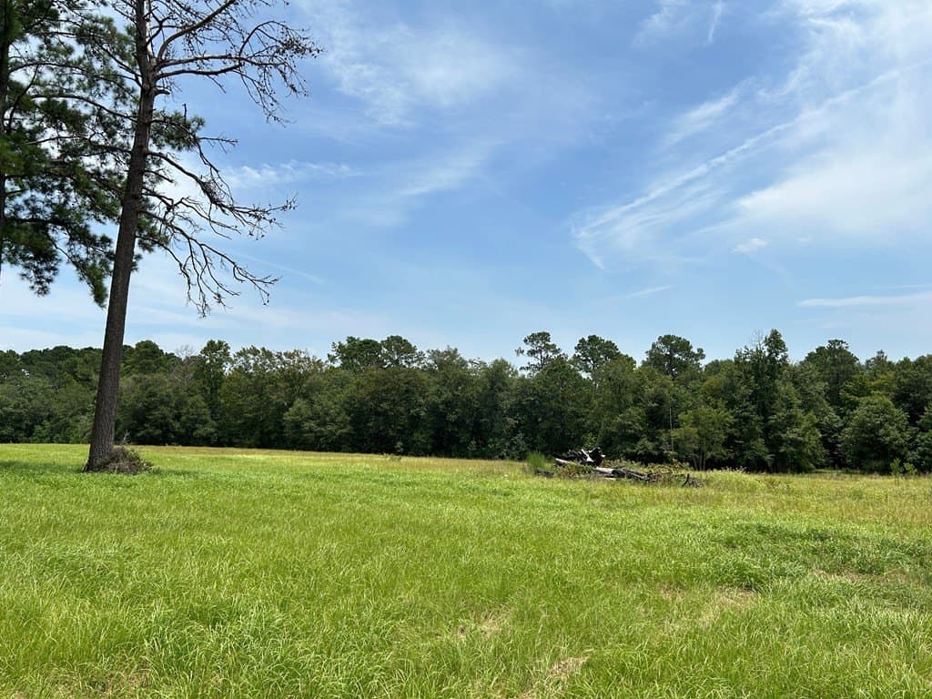 3.08 acres in Texas County gallery image 2
