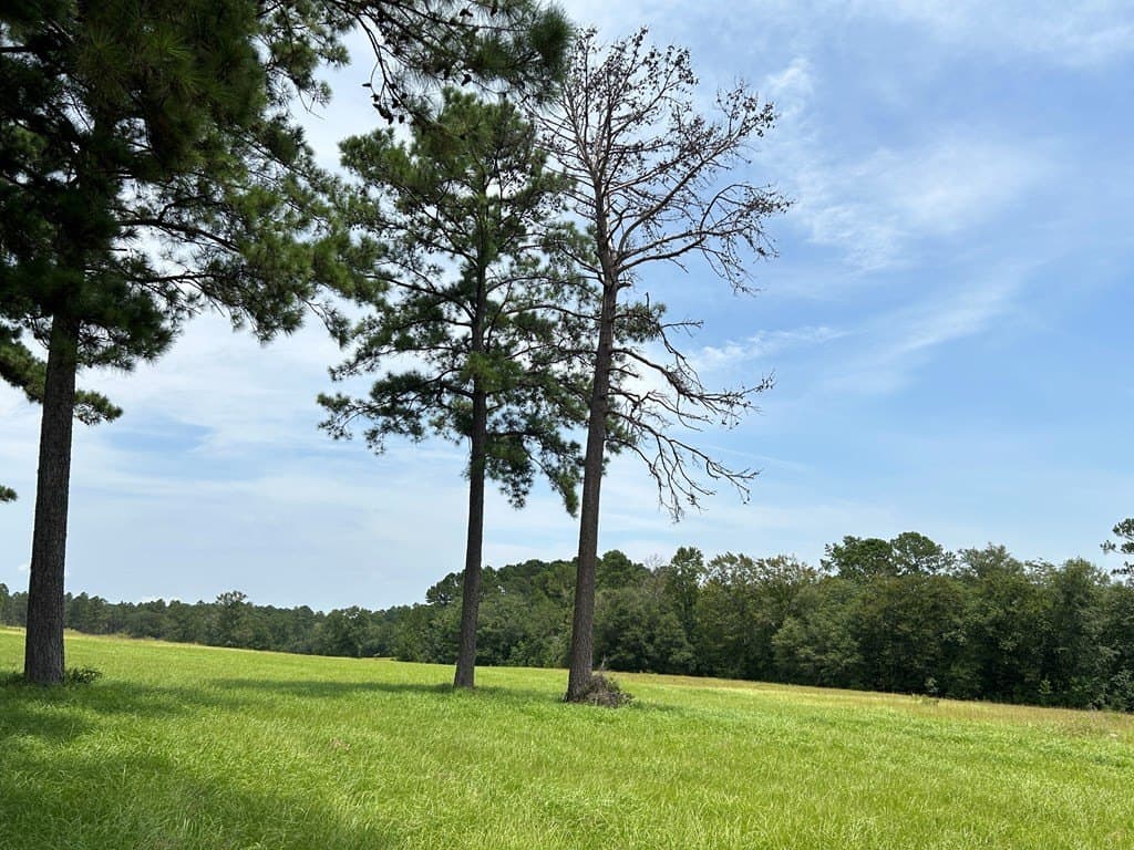 3.08 acres in Texas County gallery image 3