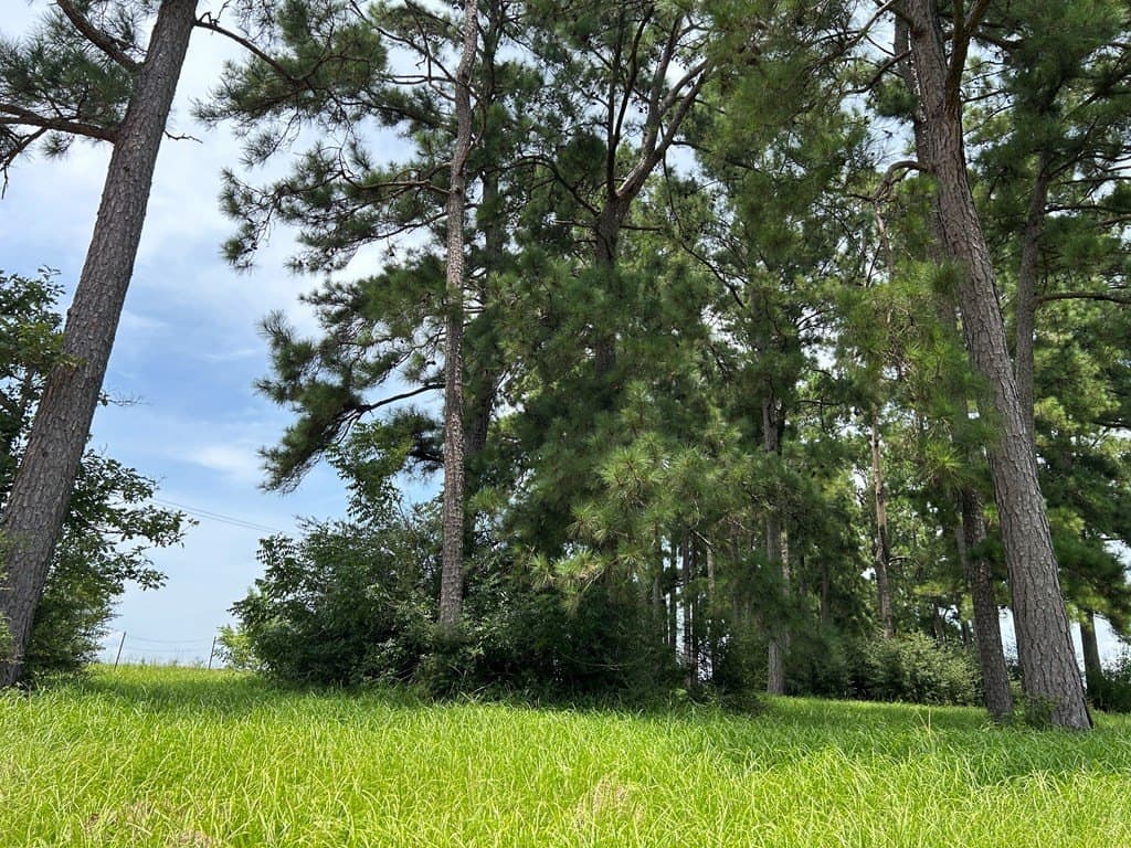 3.08 acres in Texas County - photo 7