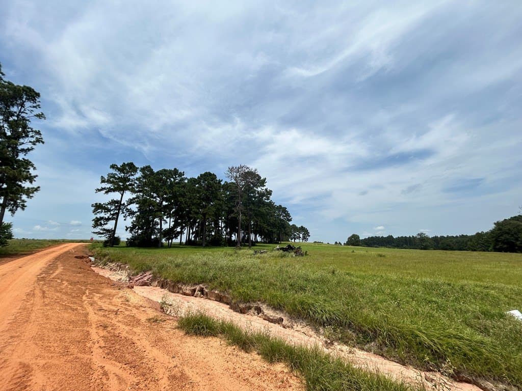 3.08 acres in Texas County gallery image 4