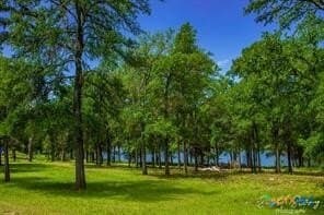 0.23 acres in Bell County gallery image 4