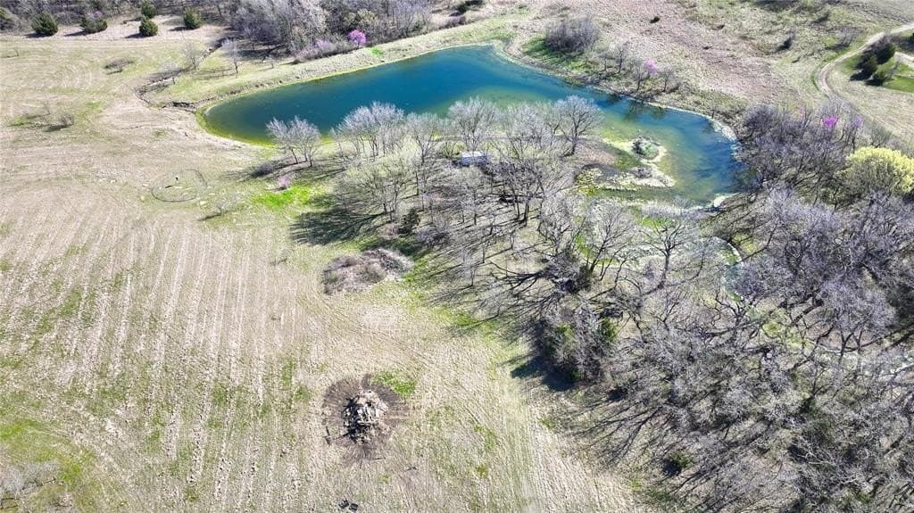 10.04 acres in Montague County gallery image 4