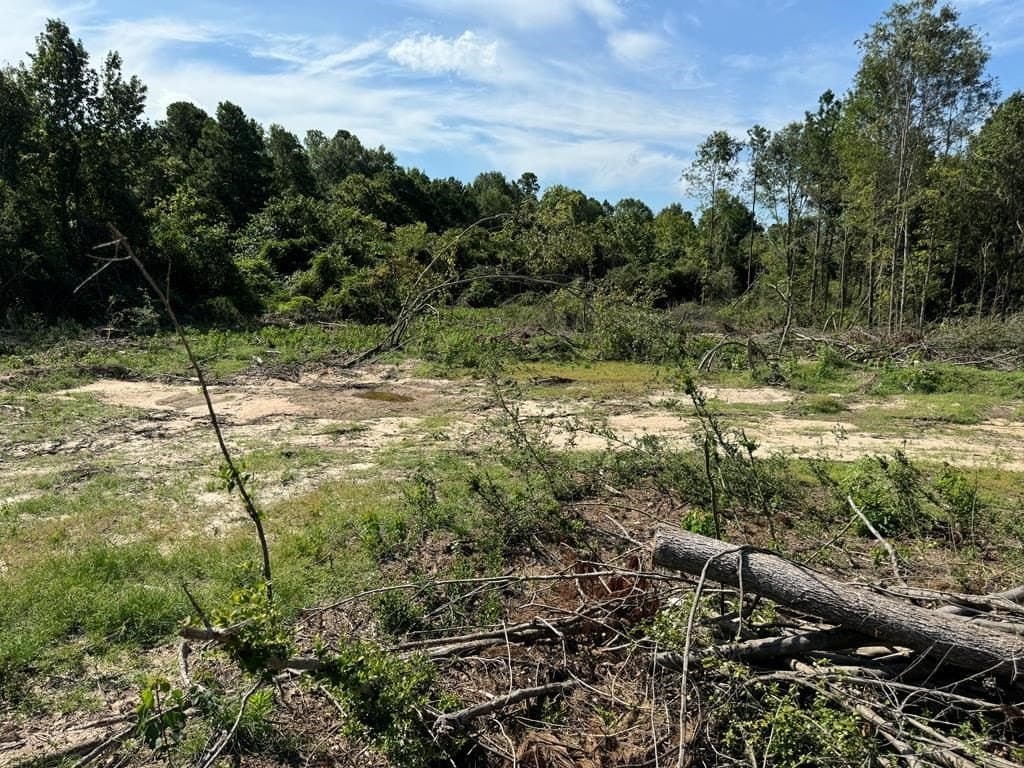 2.37 acres in Texas County gallery image 2