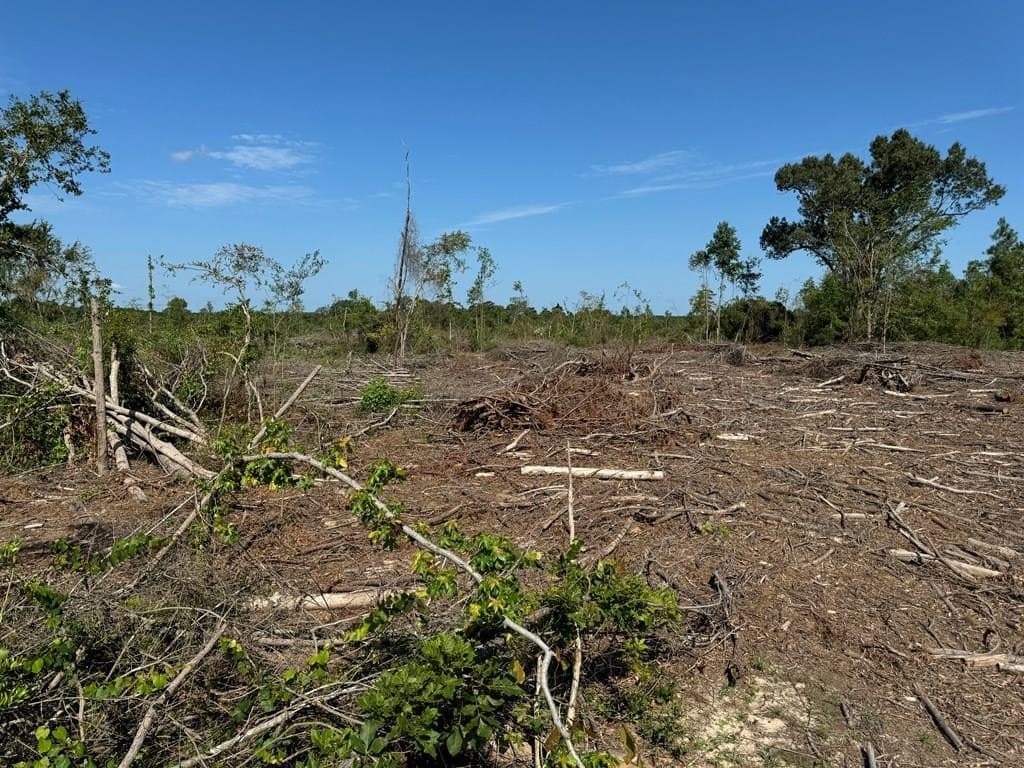 2.37 acres in Texas County